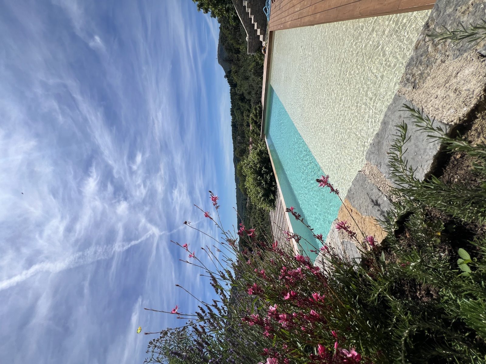 Débordement de la piscine et fleurs face aux Cévennes
